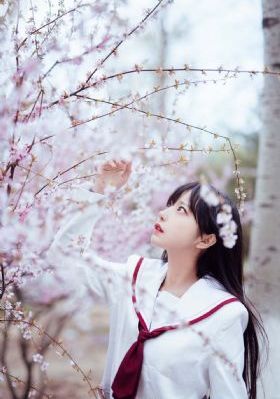 91在线网站_在线播放-手机免费播放动漫